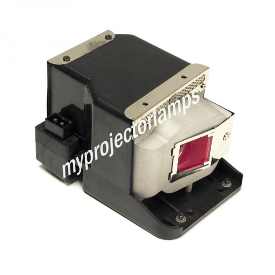 Viewsonic RLC-046 Projector Lamp with Module