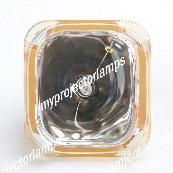 Barco R9871111 Bare Projector Lamp