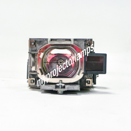 Sony VPL-MX25 Projector Lamp with Module