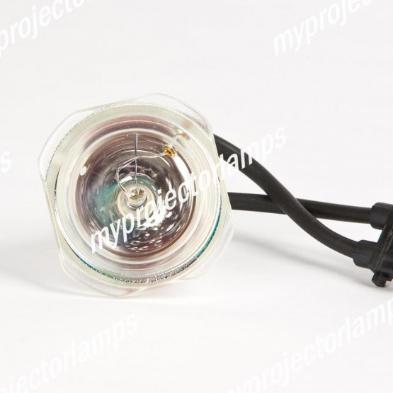 Vidikron Vision Model 30 Bare Projector Lamp