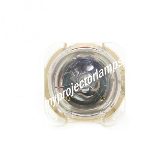 Planar PD7130 Bare Projector Lamp
