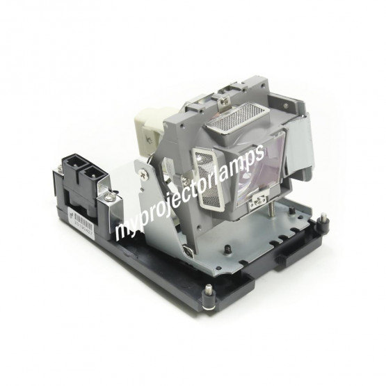 Viewsonic 5811100686-S Projector Lamp with Module