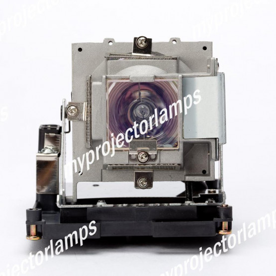 Taxan KG-PH1004XS Projector Lamp with Module