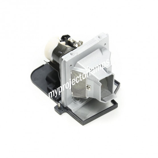 Acer SP.83601.001 Projector Lamp with Module