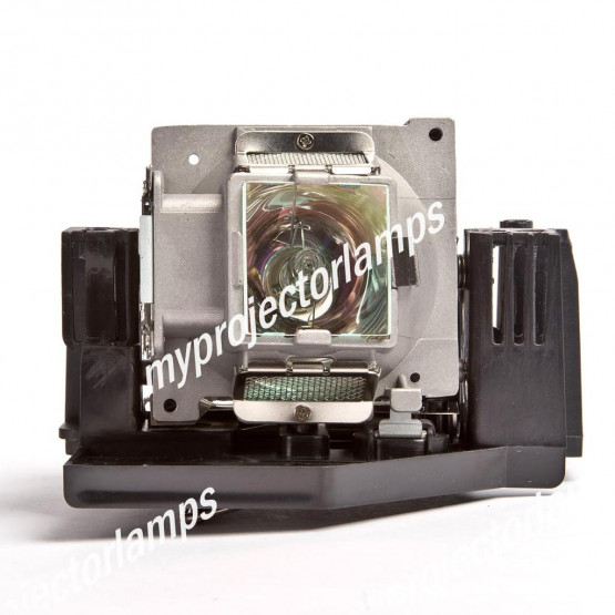 Benq SP820 Projector Lamp with Module