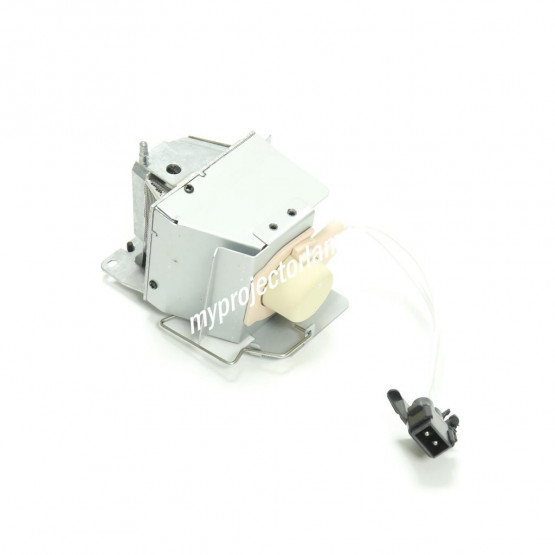 NEC NP-V302H Projector Lamp with Module