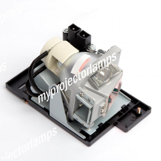 Benq 5J.J0705.001 Projector Lamp with Module
