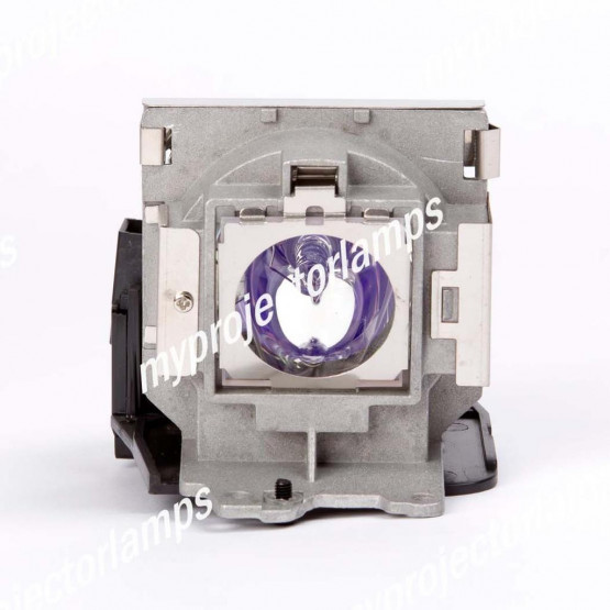 Benq MP612 Projector Lamp with Module