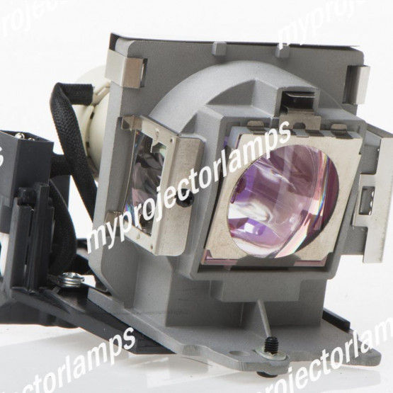 Benq 5J.08G01.001 Projector Lamp with Module