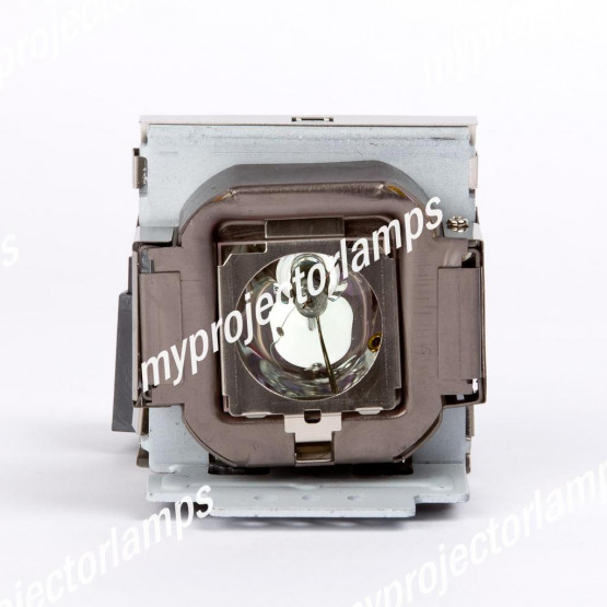 Benq SP830 Projector Lamp with Module