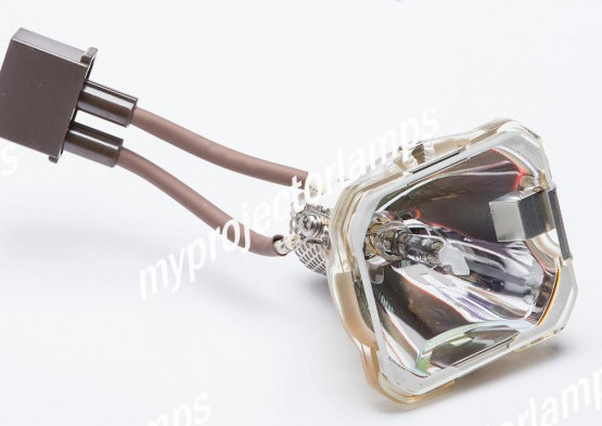 Marantz VP-12S2 (Female Plug) Bare Projector Lamp