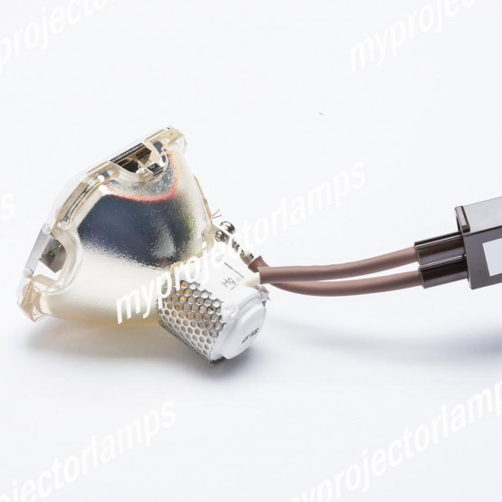 Marantz VP-12S4 (Female Plug) Bare Projector Lamp