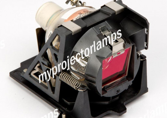 Projector Lamp with Module