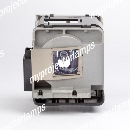 Viewsonic PRO8600 Projector Lamp with Module