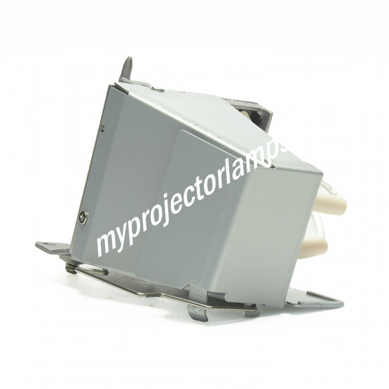 Acer MC.JMV11.001 Projector Lamp with Module