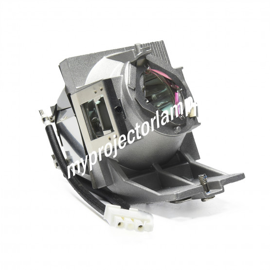 Benq 5J.JHN05.001 Projector Lamp with Module