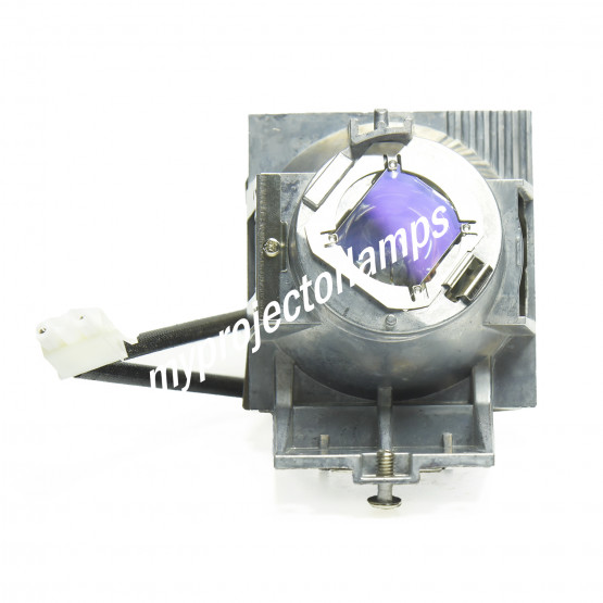 Viewsonic PG700WU Projector Lamp with Module