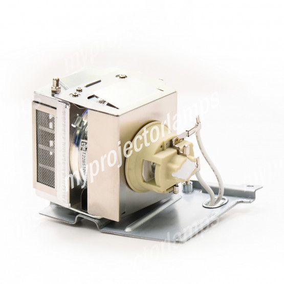 Acer MC.JRD11.002 Projector Lamp with Module