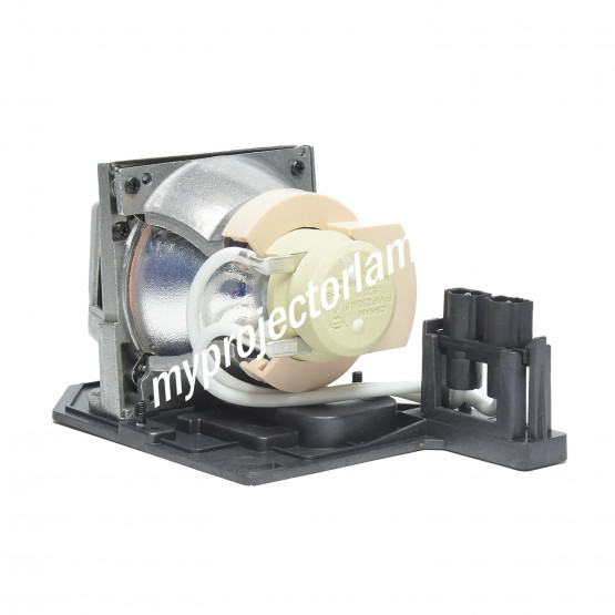 Acer EC.K0700.001 Projector Lamp with Module