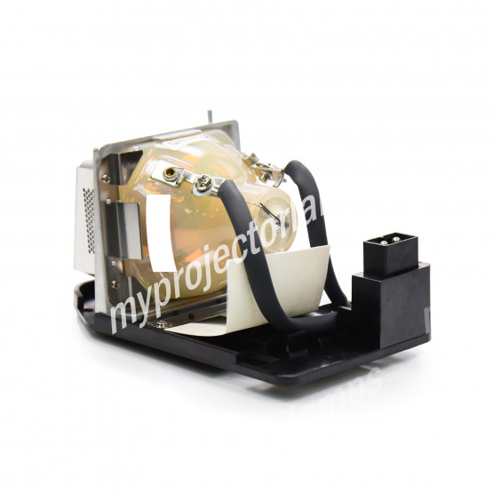 Viewsonic RLC-025 Projector Lamp with Module