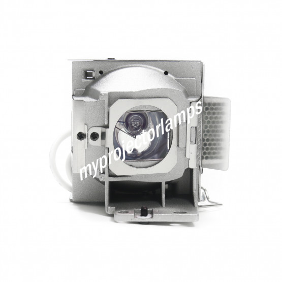 Viewsonic PJD5134 Projector Lamp with Module