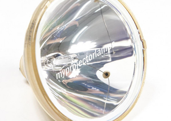 Sharp BQC-XGNV21SE1 Lampe de Projecteur Nue