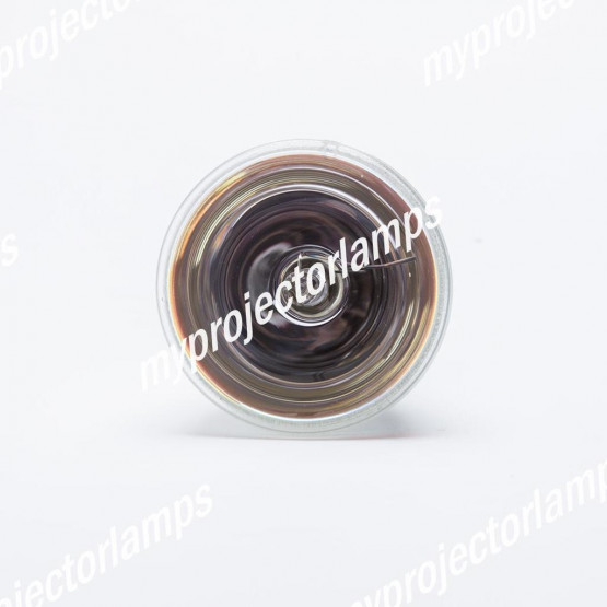 Bulbo/Foco para proyector Dell 1420X