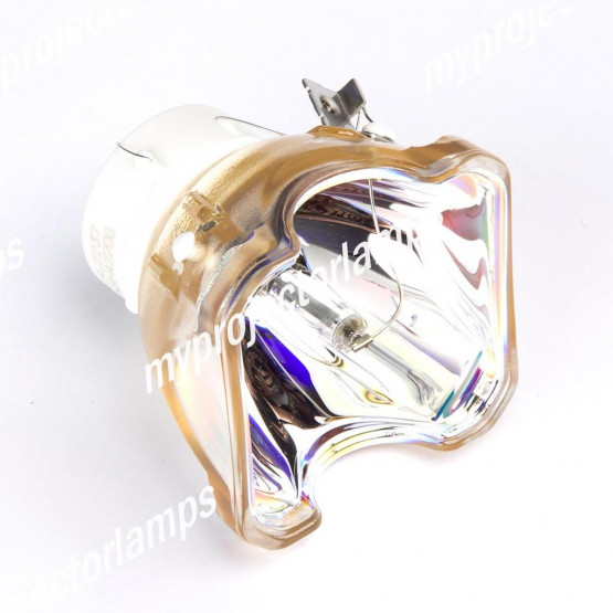 Dukane 456-8100 Bare Projector Lamp