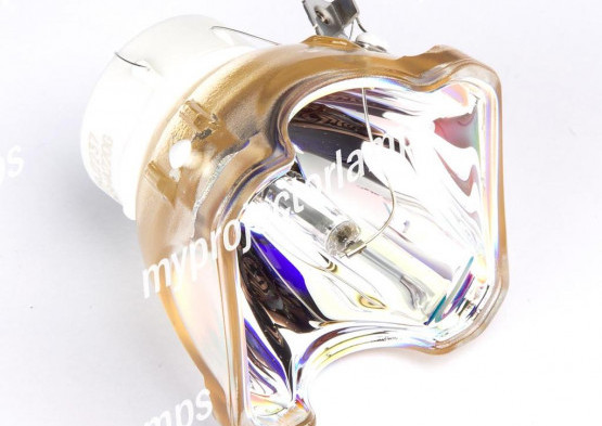 Dukane 456-8100 Bare Projector Lamp