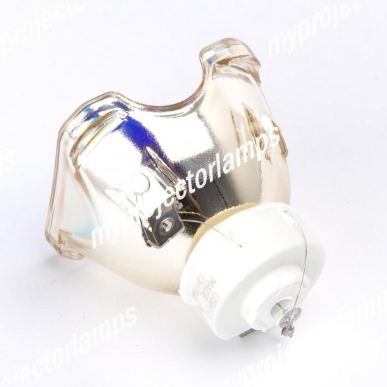 Dukane 456-8100 Bare Projector Lamp