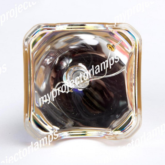 Dukane 456-8100 Bare Projector Lamp