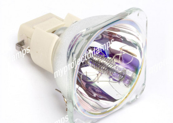 Vivitek D5500 Bare Projector Lamp