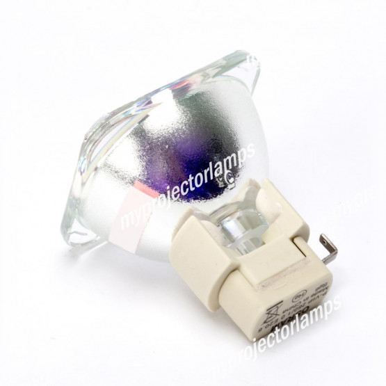 Vivitek D5500 Bare Projector Lamp