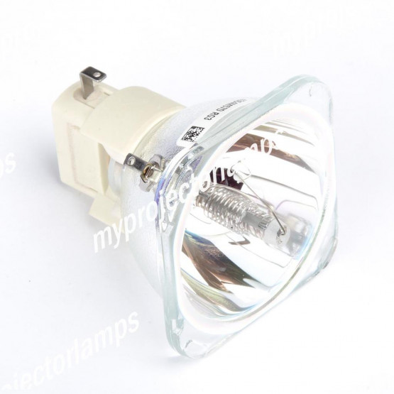 Bare Projector Lamp