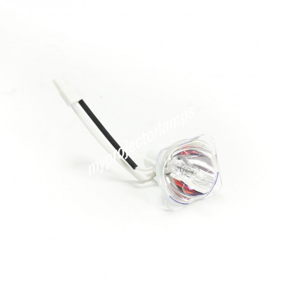 Bare Projector Lamp