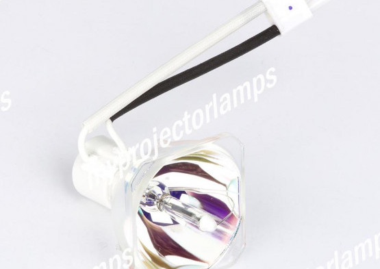 Bulbo/Foco para proyector Vivitek D511