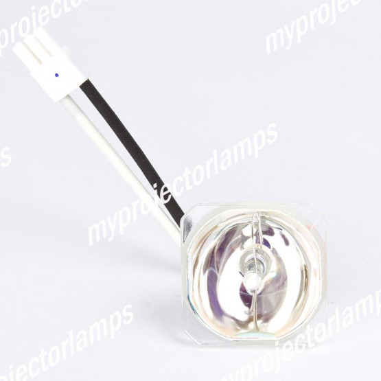 Bulbo/Foco para proyector Vivitek D511