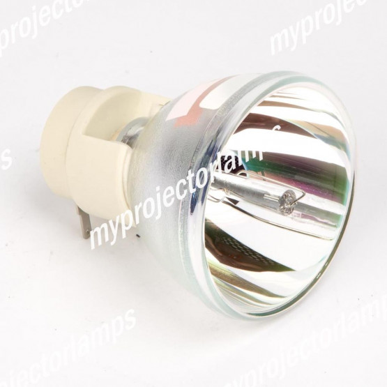 Bare Projector Lamp