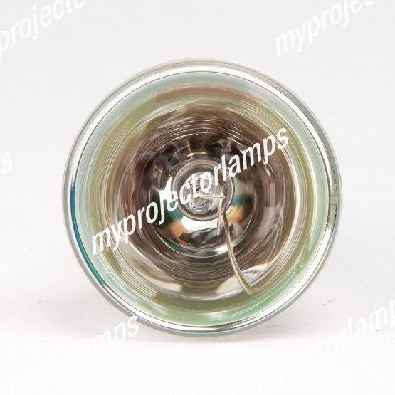 Vivitek D4500 Bare Projector Lamp