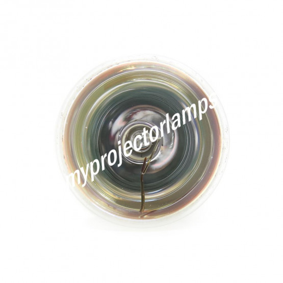 Vivitek D553 Bare Projector Lamp