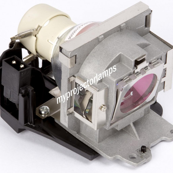 Benq MP622c Bare Projector Lamp