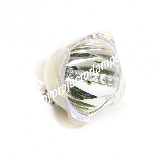 Bare Projector Lamp