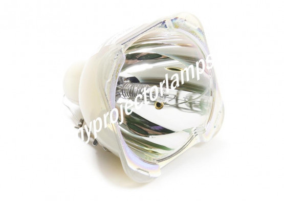 Benq 5J.J2D05.011 Bare Projector Lamp