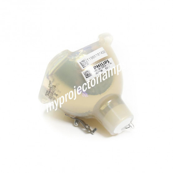 Benq 5J.J2D05.011 Bare Projector Lamp