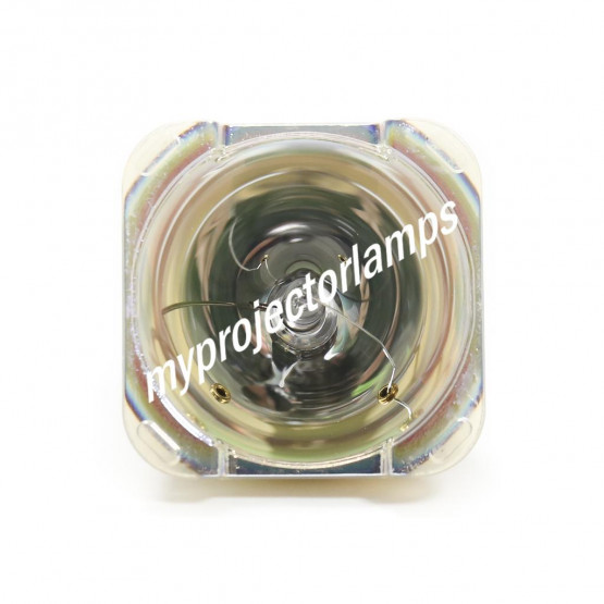 Benq 5J.J2D05.011 Bare Projector Lamp