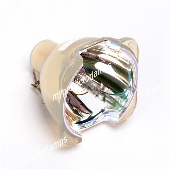 Bare Projector Lamp