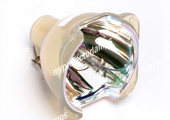 Benq PB8258 Bare Projector Lamp