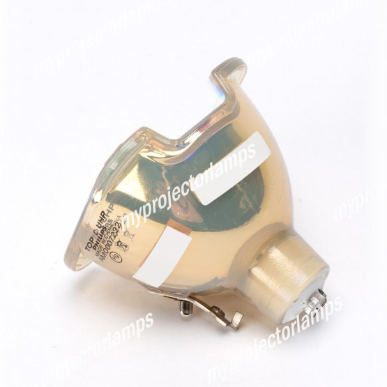 Benq PB8258 Bare Projector Lamp