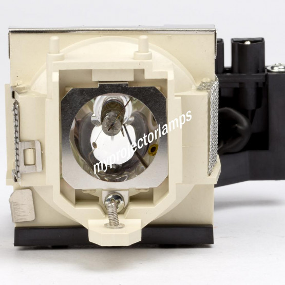 Benq PB8268 Bare Projector Lamp