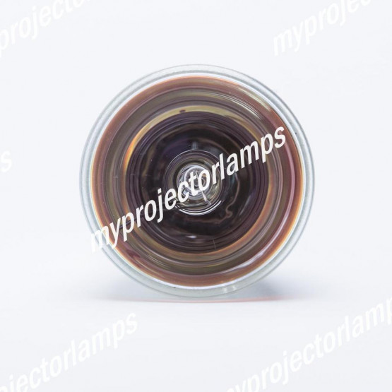 Benq SH910 Bare Projector Lamp